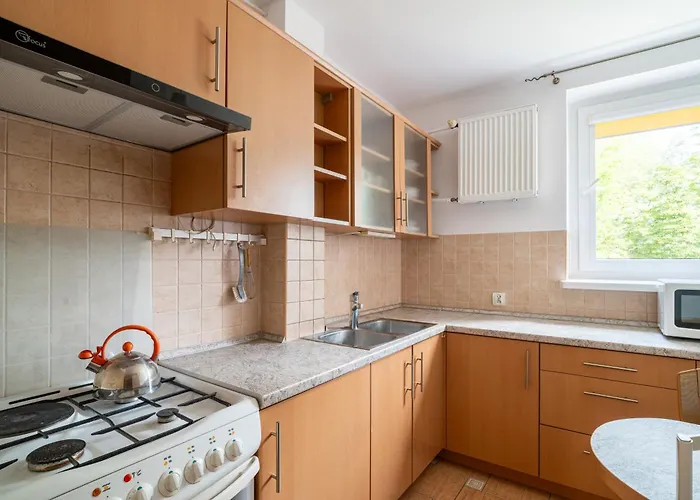 Zabi Kruk - Relax By The River * Gdańsk